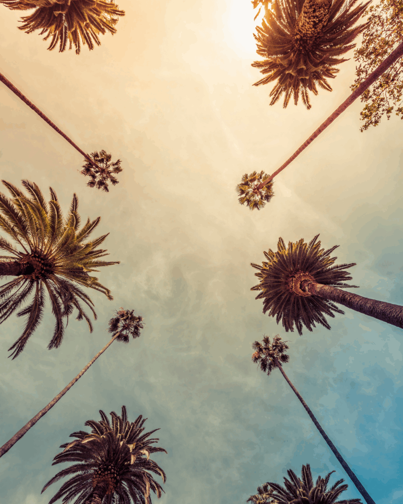 luxury photography workshop LA